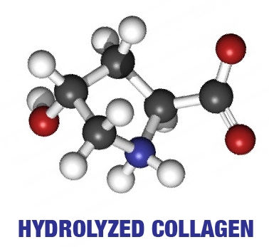Phân tử collagen thủy phân