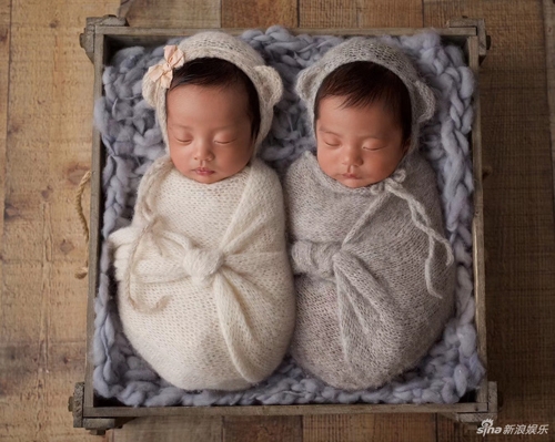 Trương Vũ Kỳ sinh đôi một trai, một gái.