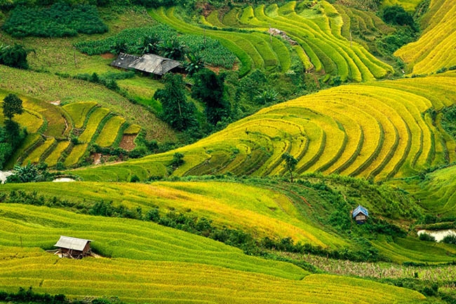 Đèo Khau Phạ là điểm dừng chân yêu thích của nhiều du khách yêu vẻ đẹp thiên nhiên vùng cao. Ảnh: Hai Thinh