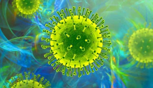 Vaccine của Pfizer-BioNTech có hiệu quả 86,9% đối với bất kỳ biến thể SARS-CoV-2 